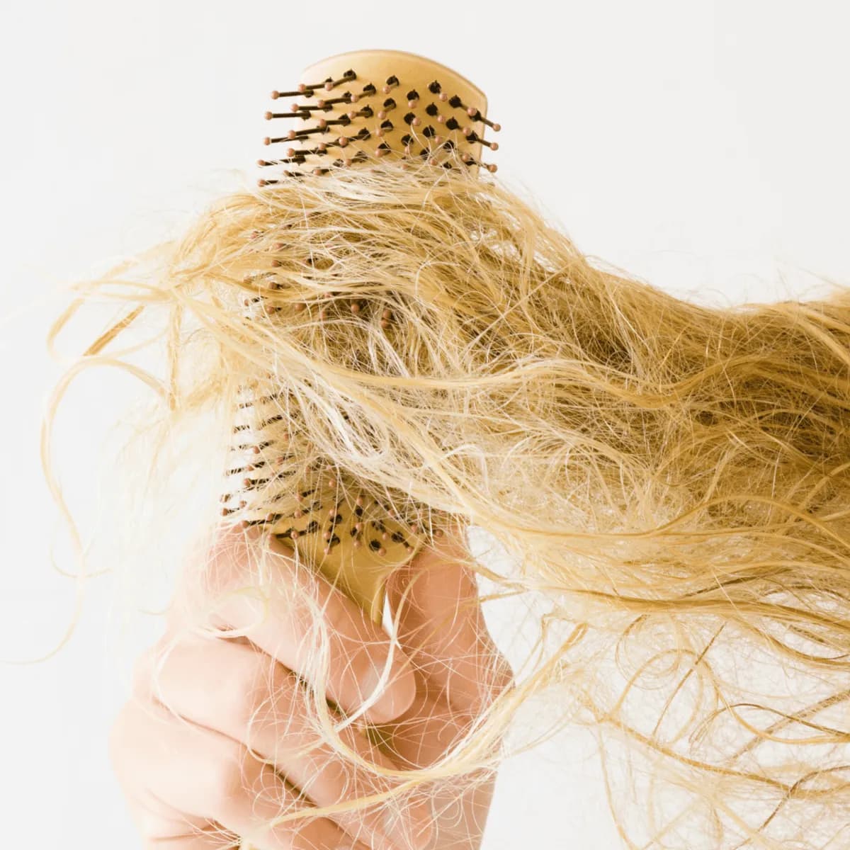 Can you perm or rebond bleached hair — The Hive Salon Singapore